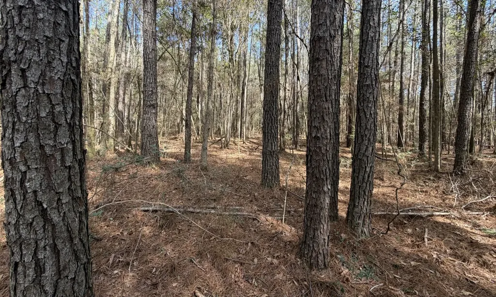 Elba AL, Tiger Drive