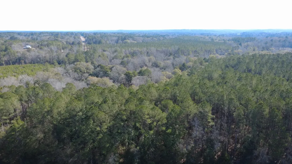 0 Tiger Drive Elba AL 36323