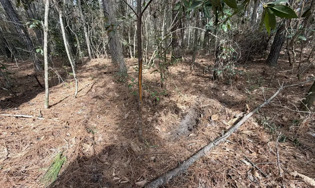 0 Tiger Drive Elba AL 36323