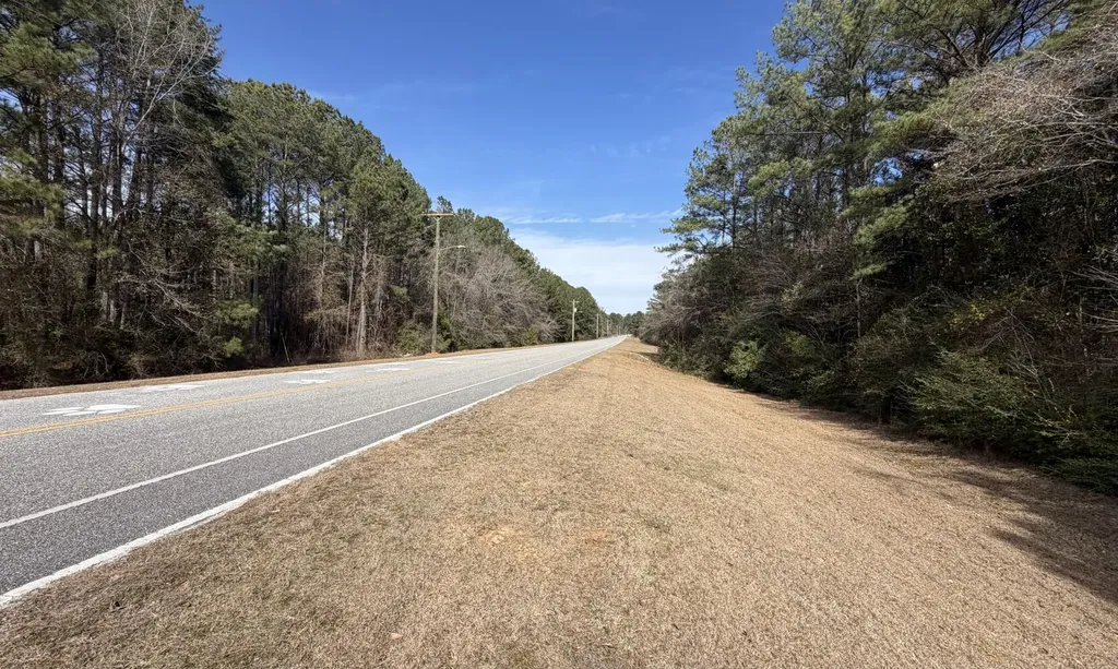 0 Tiger Drive Elba AL 36323