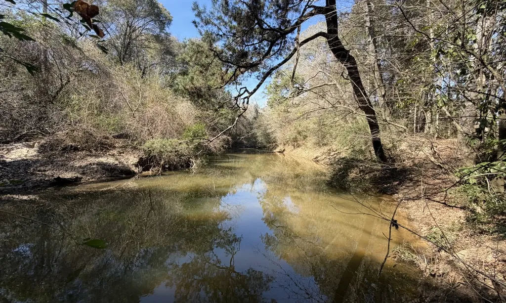 0 Tiger Drive Elba AL 36323