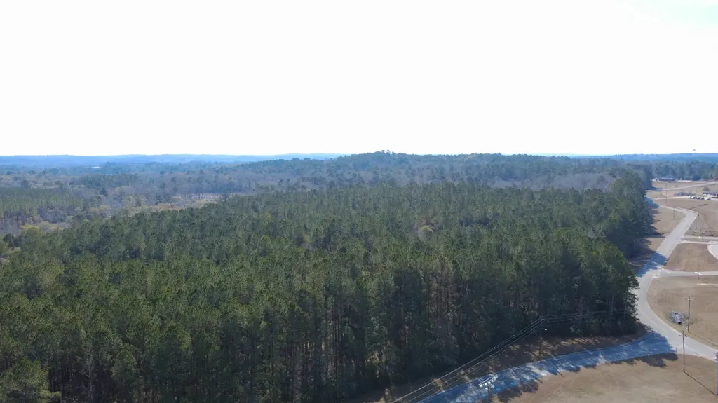 0 Tiger Drive Elba AL 36323