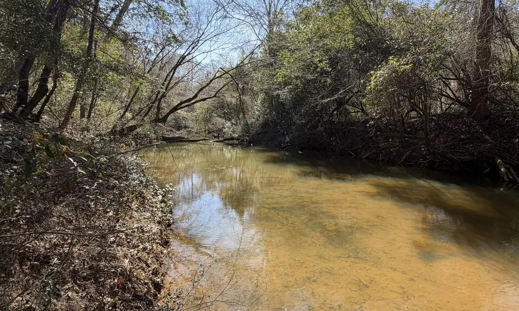 0 Tiger Drive Elba AL 36323