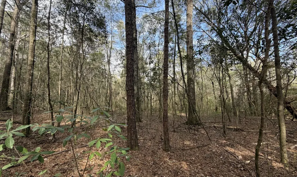 0 Tiger Drive Elba AL 36323