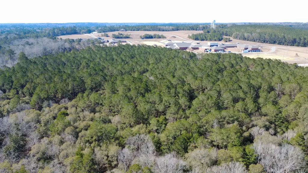 0 Tiger Drive Elba AL 36323