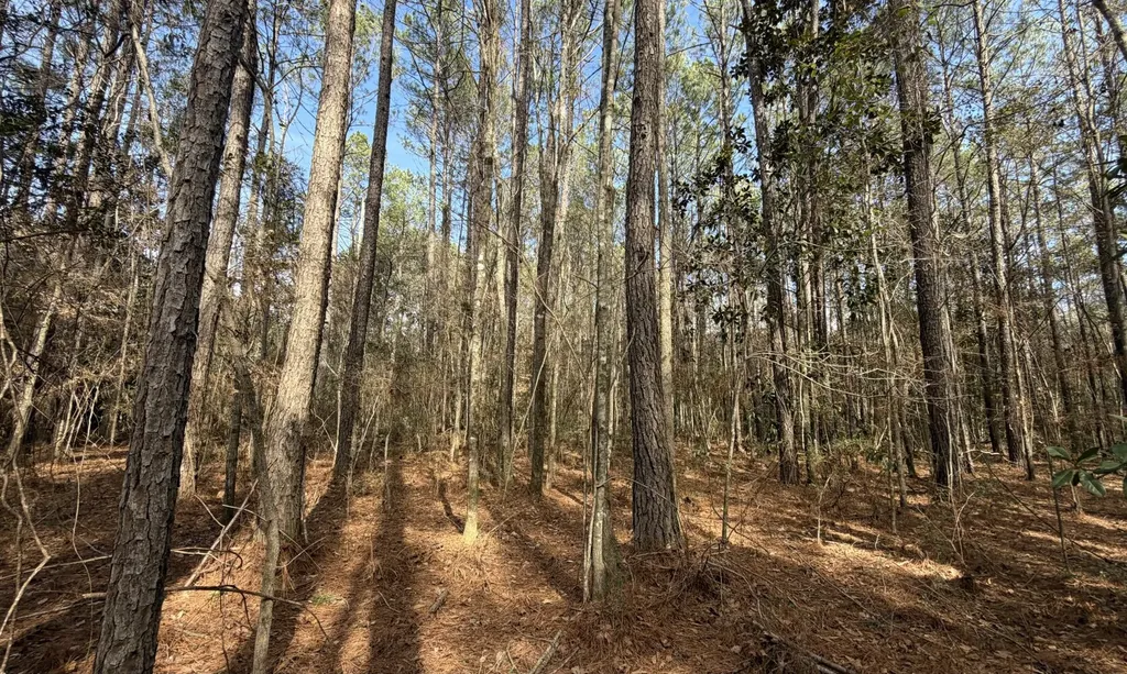 0 Tiger Drive Elba AL 36323