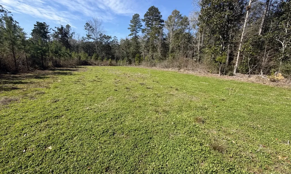 Elba AL, 1 Taylor Mill Road