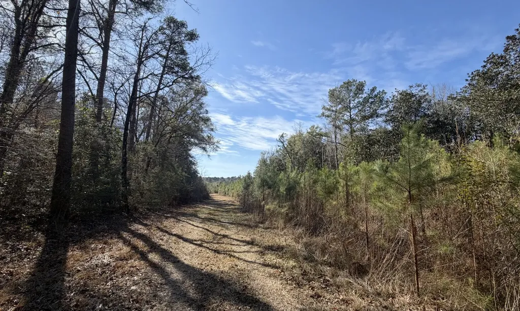 1 Taylor Mill Road Elba AL 36323