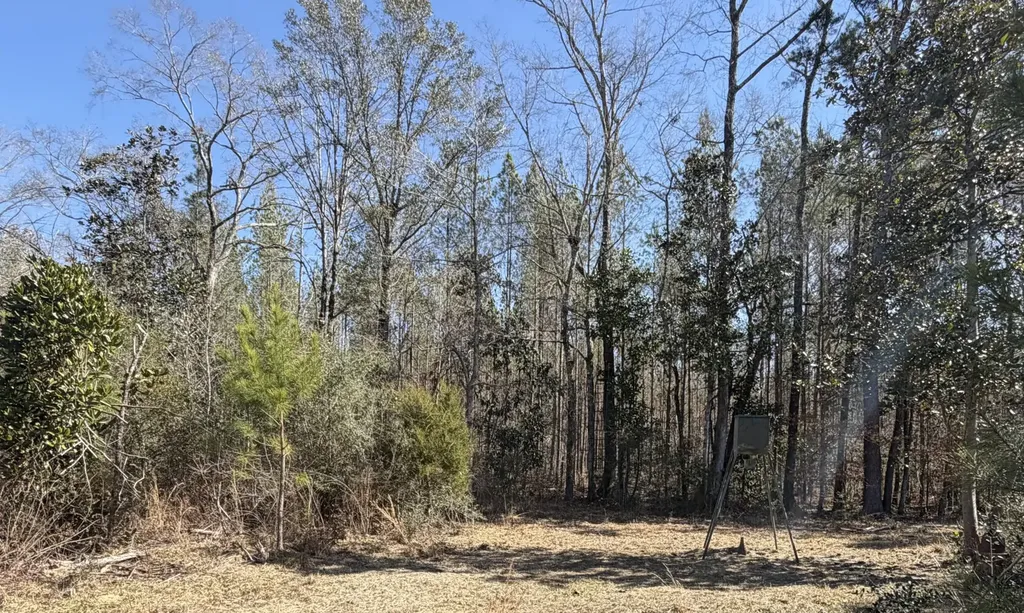 1 Taylor Mill Road Elba AL 36323