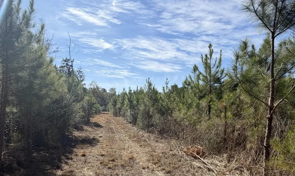 1 Taylor Mill Road Elba AL 36323