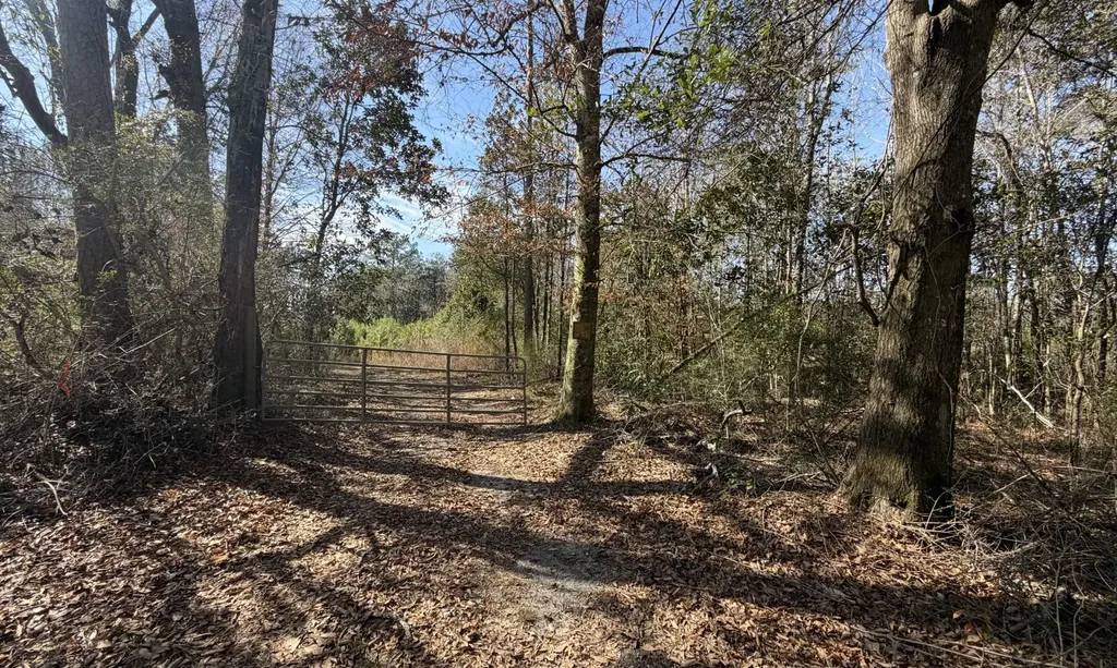 1 Taylor Mill Road Elba AL 36323