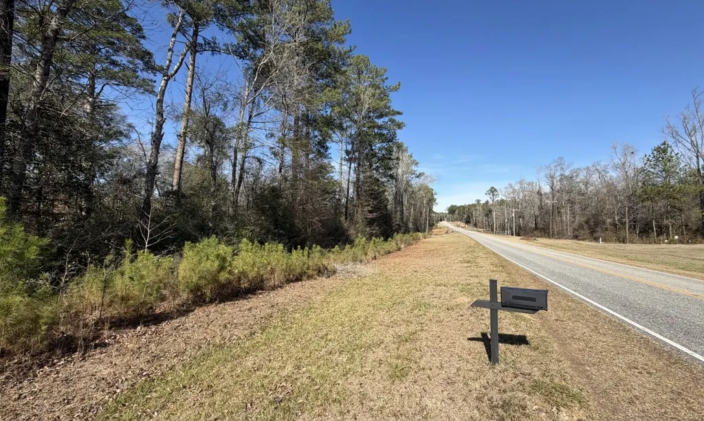 1 Taylor Mill Road Elba AL 36323