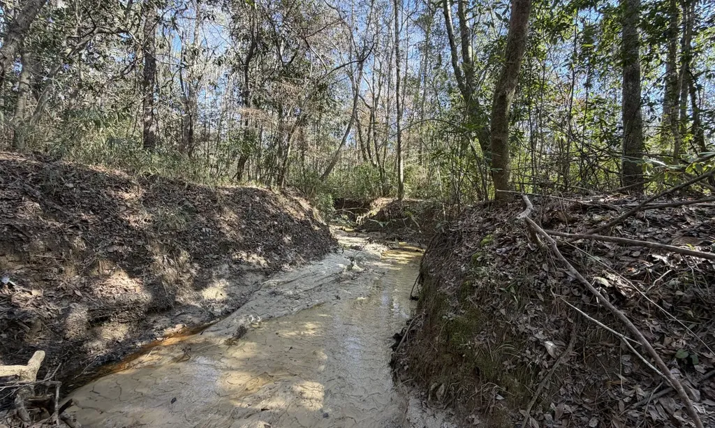 1 Taylor Mill Road Elba AL 36323