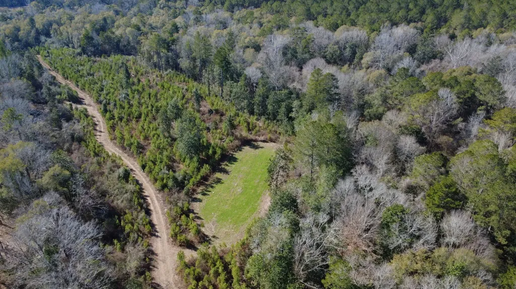 1 Taylor Mill Road Elba AL 36323