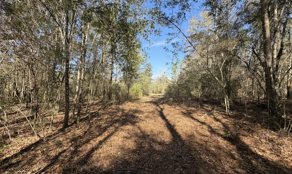 1 Taylor Mill Road Elba AL 36323