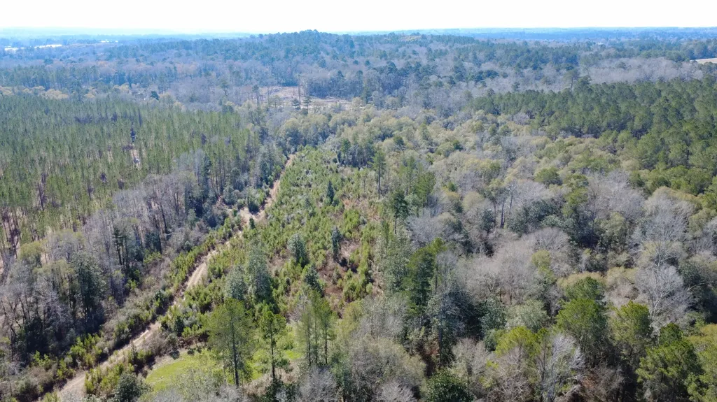 1 Taylor Mill Road Elba AL 36323