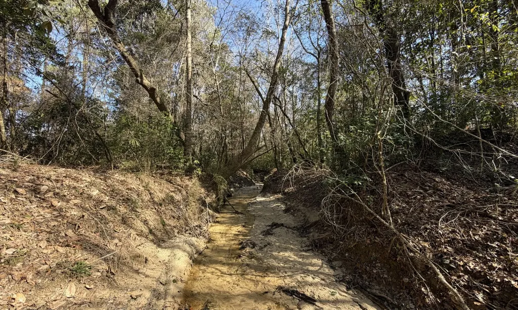 1 Taylor Mill Road Elba AL 36323