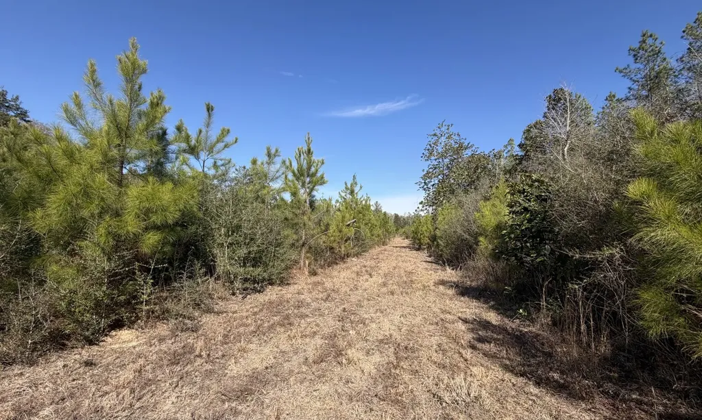 1 Taylor Mill Road Elba AL 36323