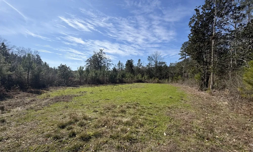 1 Taylor Mill Road Elba AL 36323