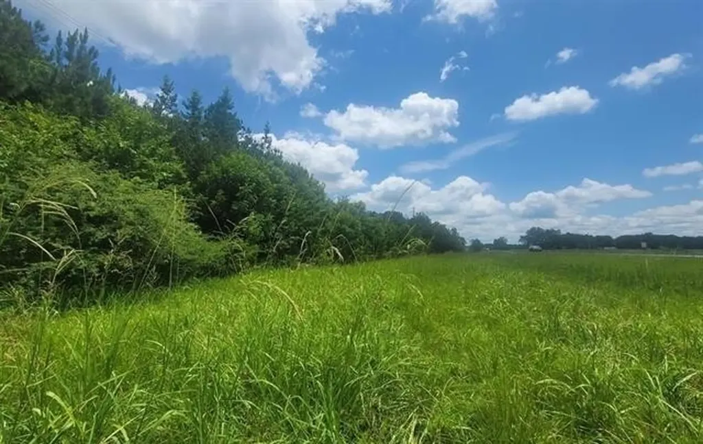 0 Highway 280 Harpersville AL 35078