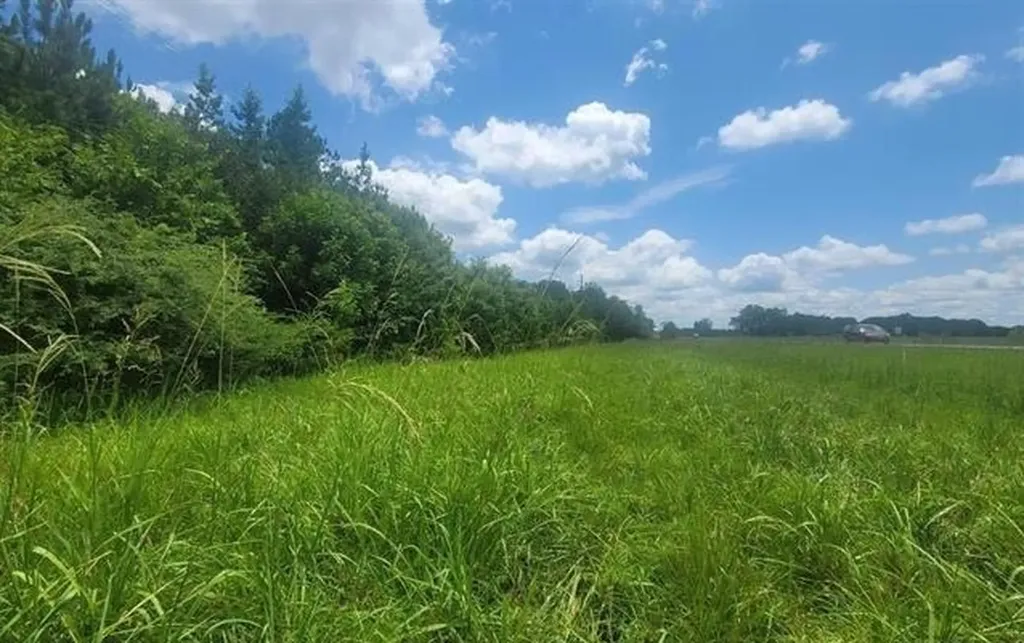 0 Highway 280 Harpersville AL 35078
