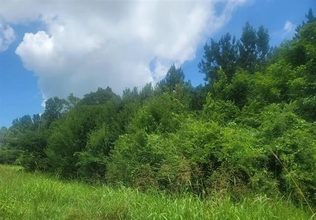 0 Highway 280 Harpersville AL 35078