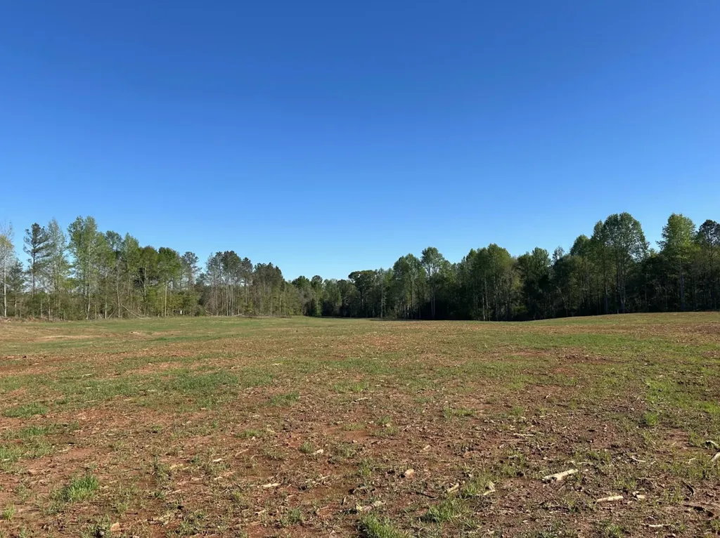 0 County Road 89 N Camp Hill AL 36850