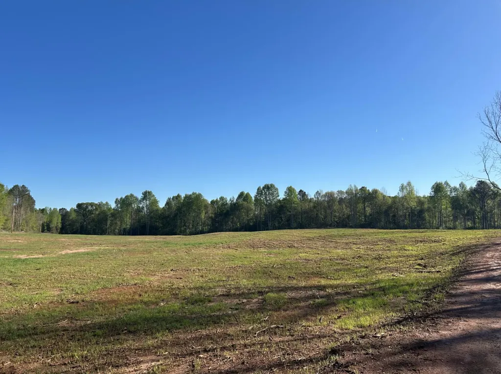 0 County Road 89 N Camp Hill AL 36850
