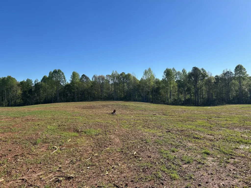0 County Road 89 N Camp Hill AL 36850