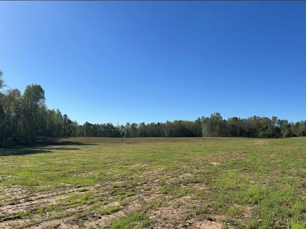 0 County Road 89 N Camp Hill AL 36850