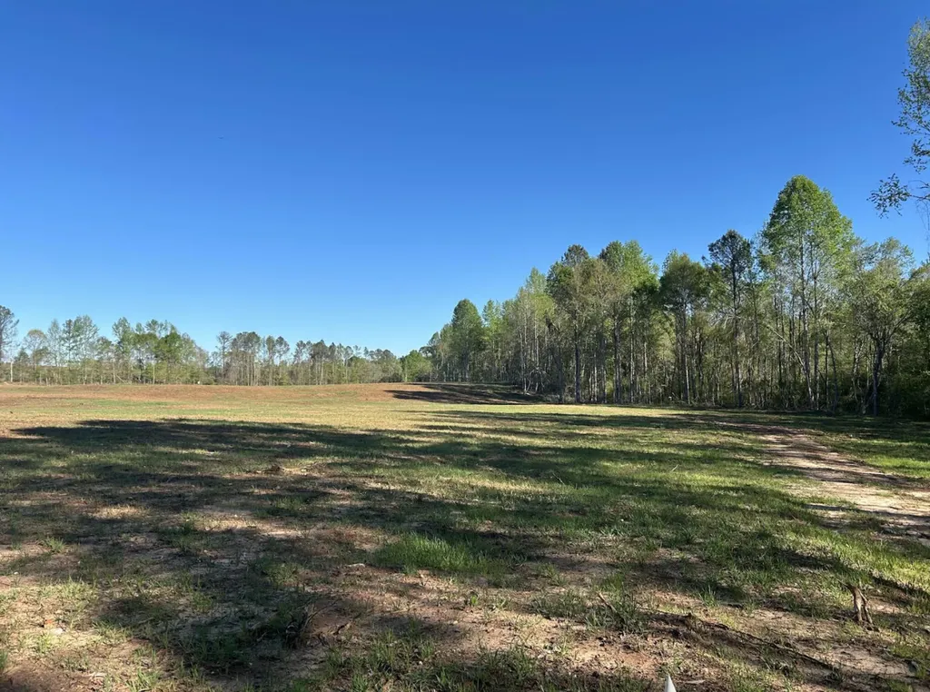 0 County Road 89 N Camp Hill AL 36850