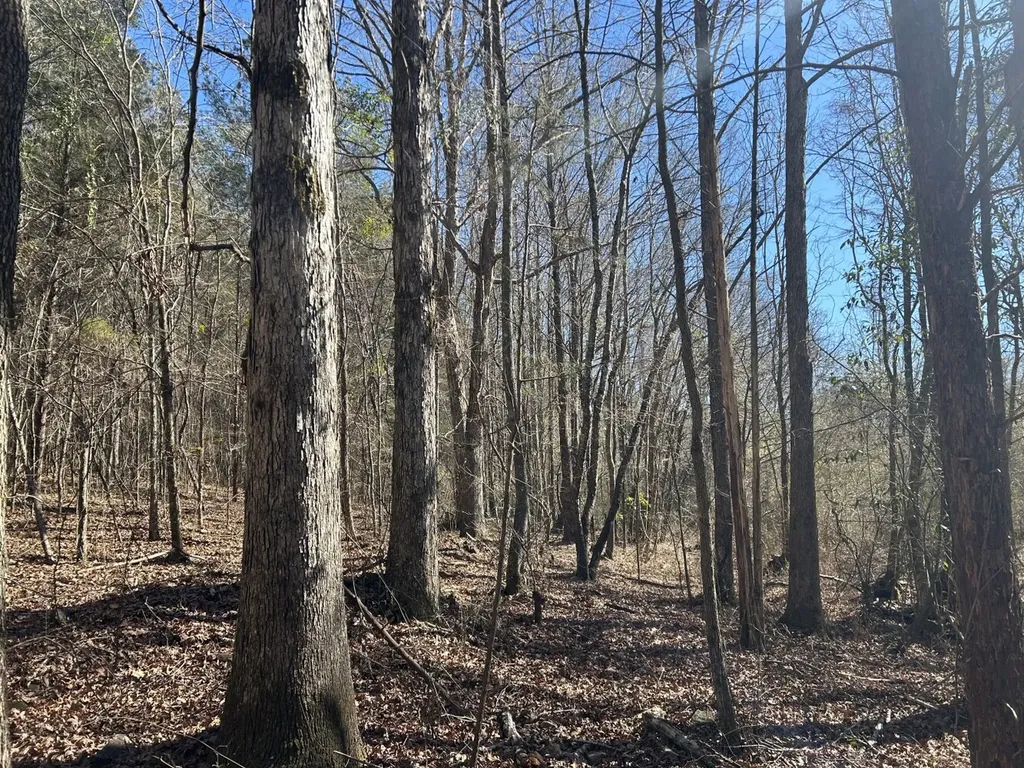 0 County Road 89 N Camp Hill AL 36850