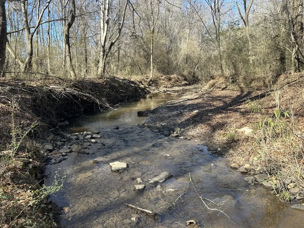 0 County Road 89 N Camp Hill AL 36850