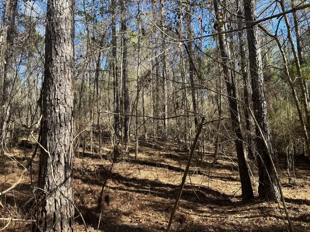0 County Road 89 N Camp Hill AL 36850