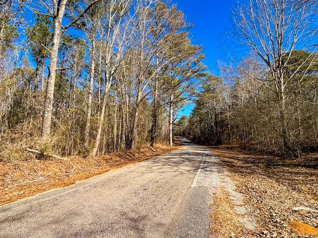 6097 Co Highway 157 Hamilton AL 35570