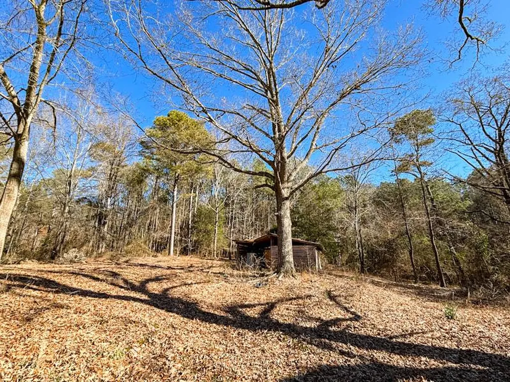 6097 Co Highway 157 Hamilton AL 35570