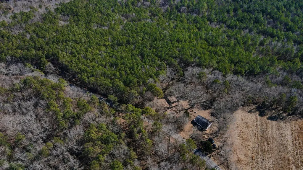 6097 Co Highway 157 Hamilton AL 35570