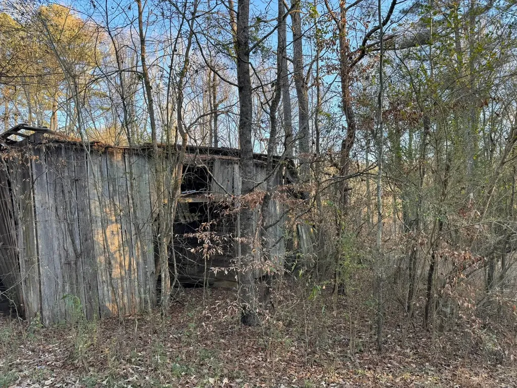 0 Moses Road Hamilton AL 35570