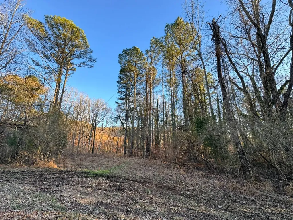 0 Moses Road Hamilton AL 35570