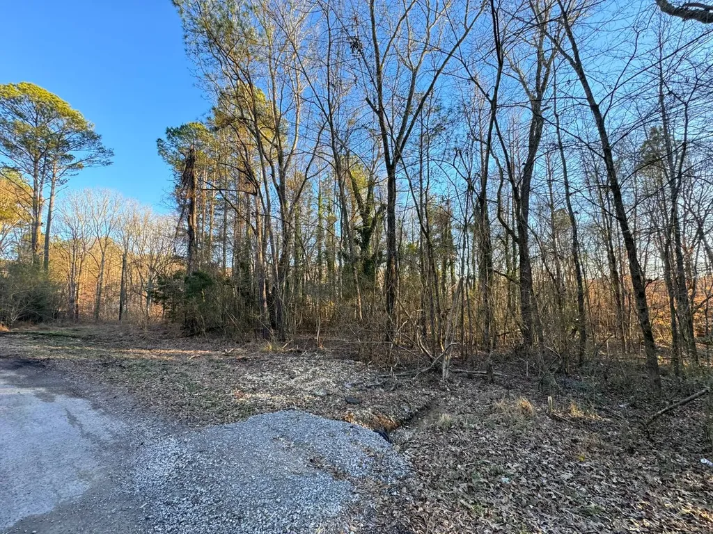0 Moses Road Hamilton AL 35570