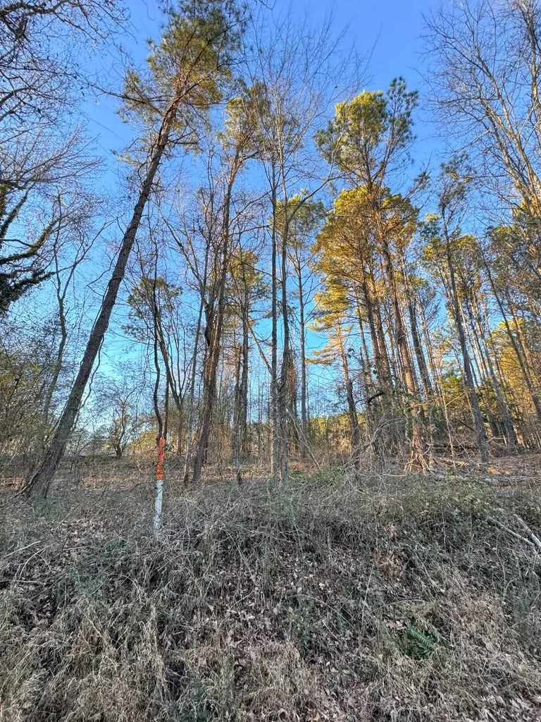 0 Moses Road Hamilton AL 35570