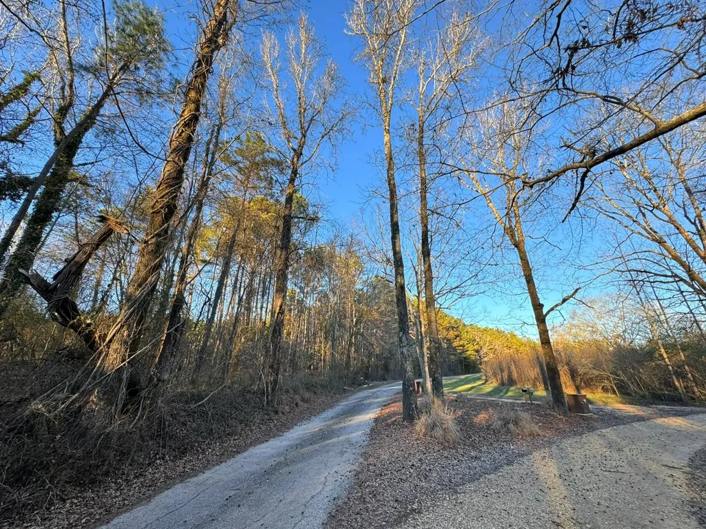 0 Moses Road Hamilton AL 35570