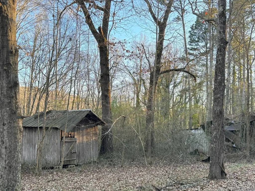0 Moses Road Hamilton AL 35570