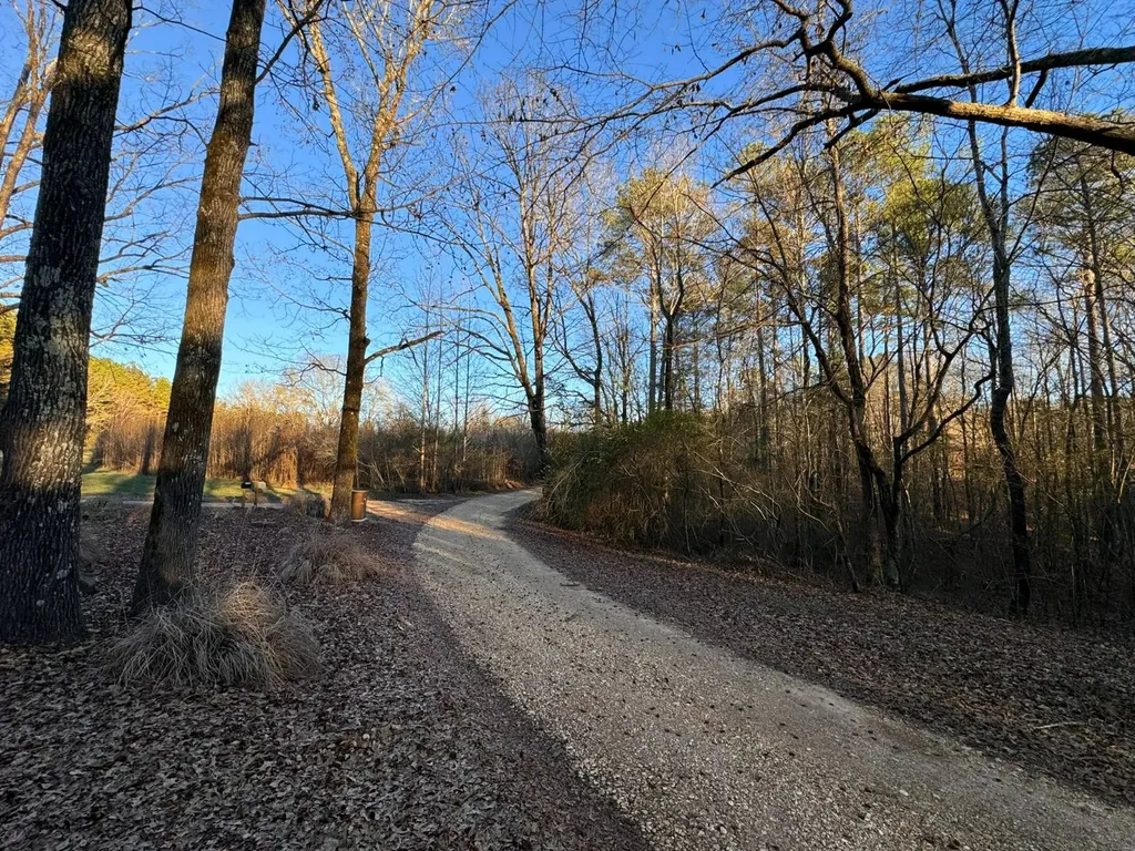 0 Moses Road Hamilton AL 35570