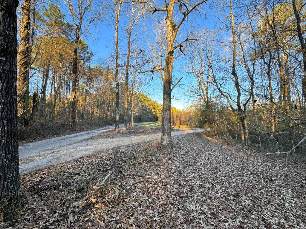 0 Moses Road Hamilton AL 35570