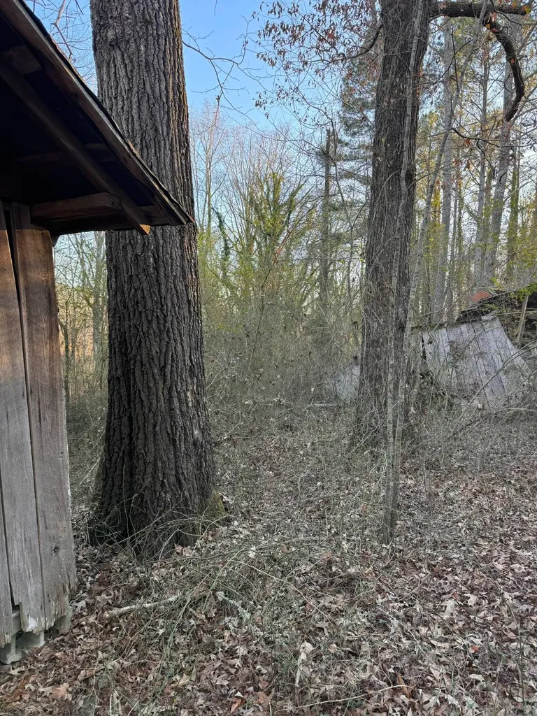 0 Moses Road Hamilton AL 35570