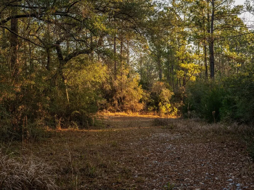 002 Highway 225 Spanish Fort AL 36527