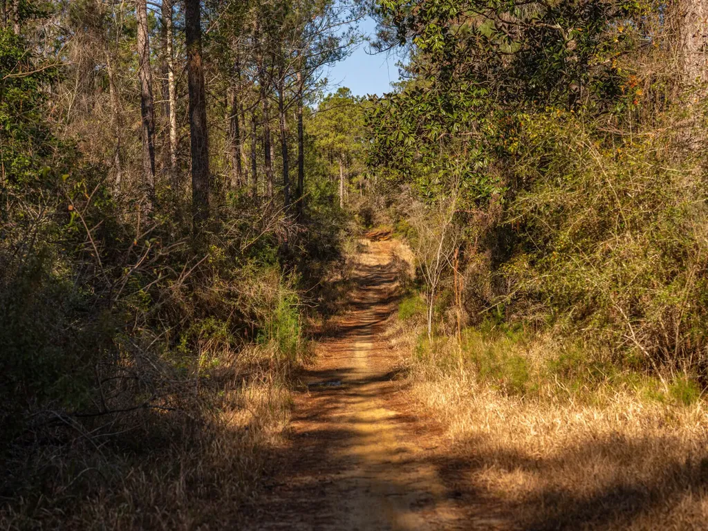 002 Highway 225 Spanish Fort AL 36527