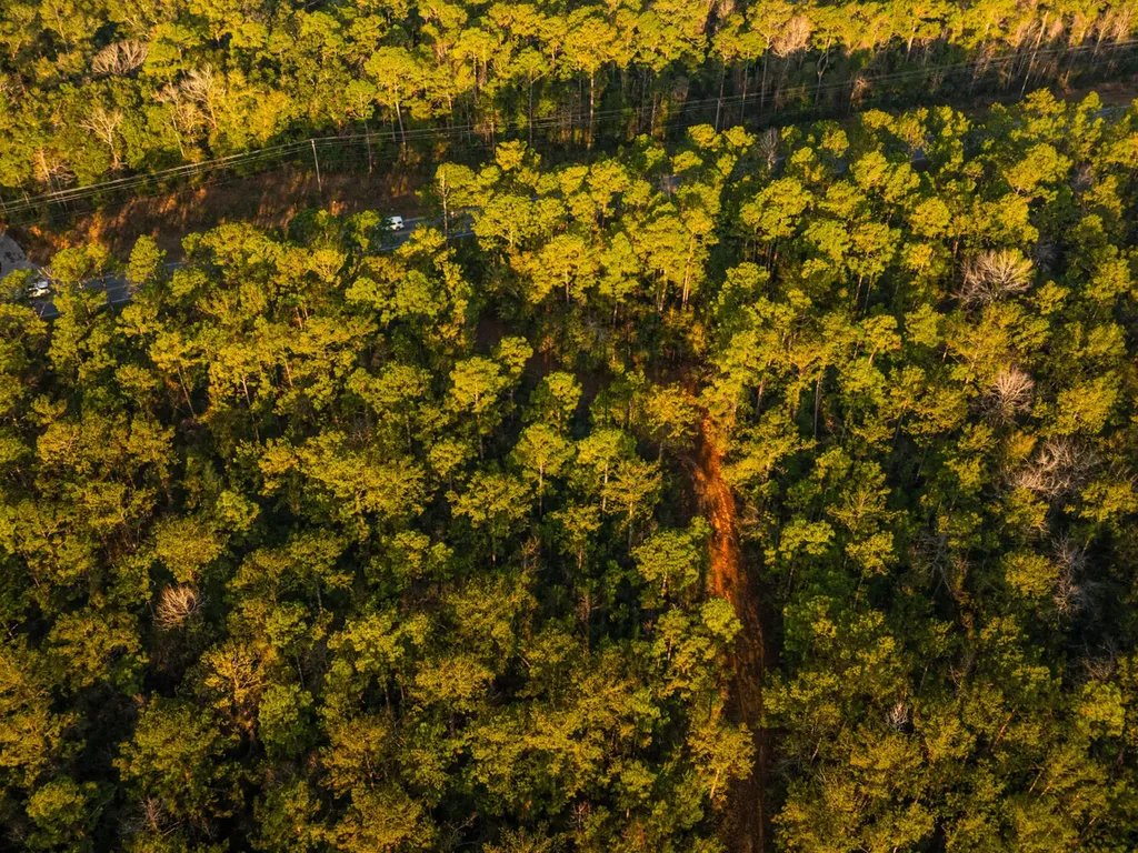 100 Highway 225 Spanish Fort AL 36527