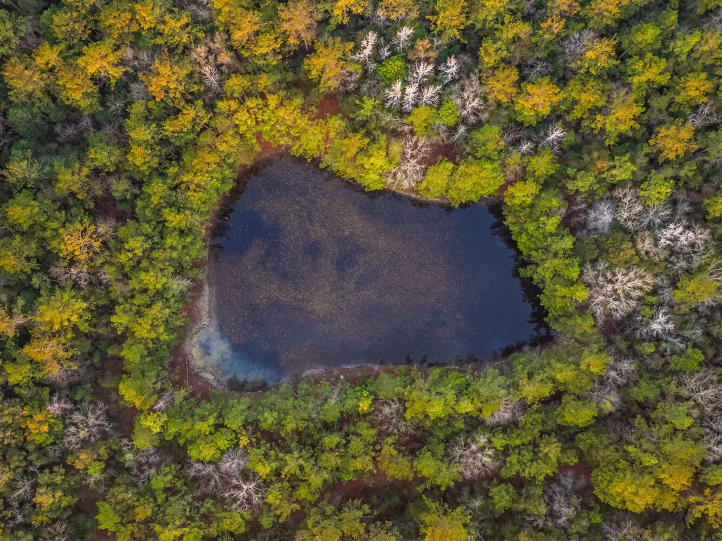 100 Highway 225 Spanish Fort AL 36527